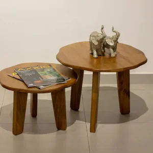 MESA DE CENTRO IRREGULAR