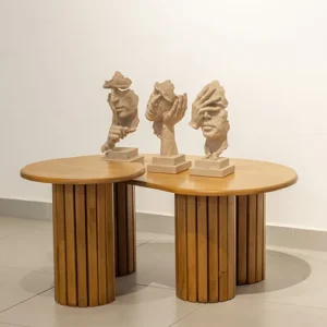 MESAS DE CENTRO SUIZO IRREGULARES